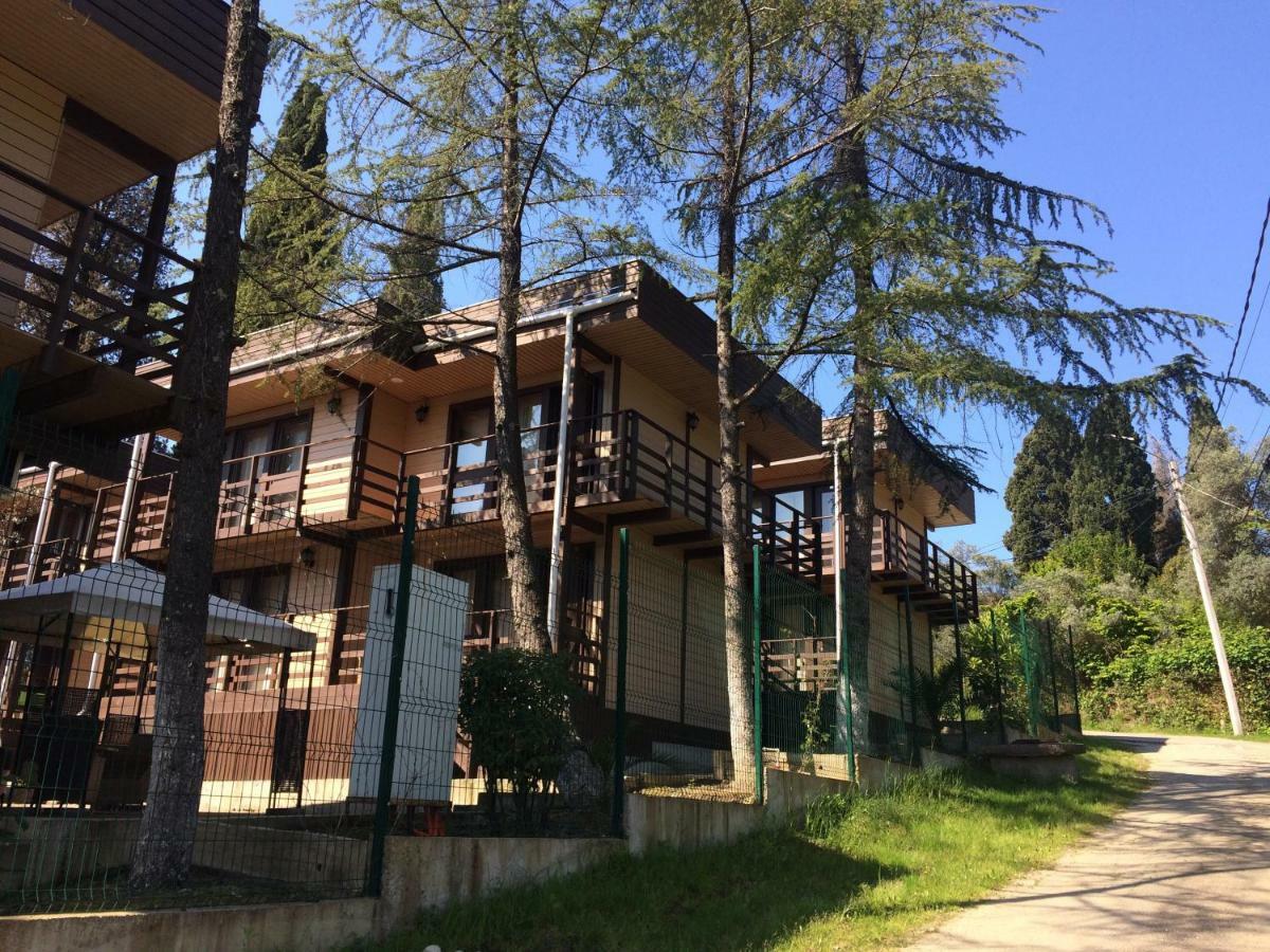 New Athos Hotel Eco Village מראה חיצוני תמונה